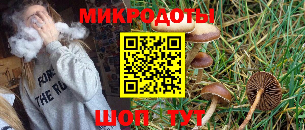 Армавир  Галлюциногенные грибы Psilocybine cubensis  Галлюциногенные грибы мицелий  Вход с VPN 